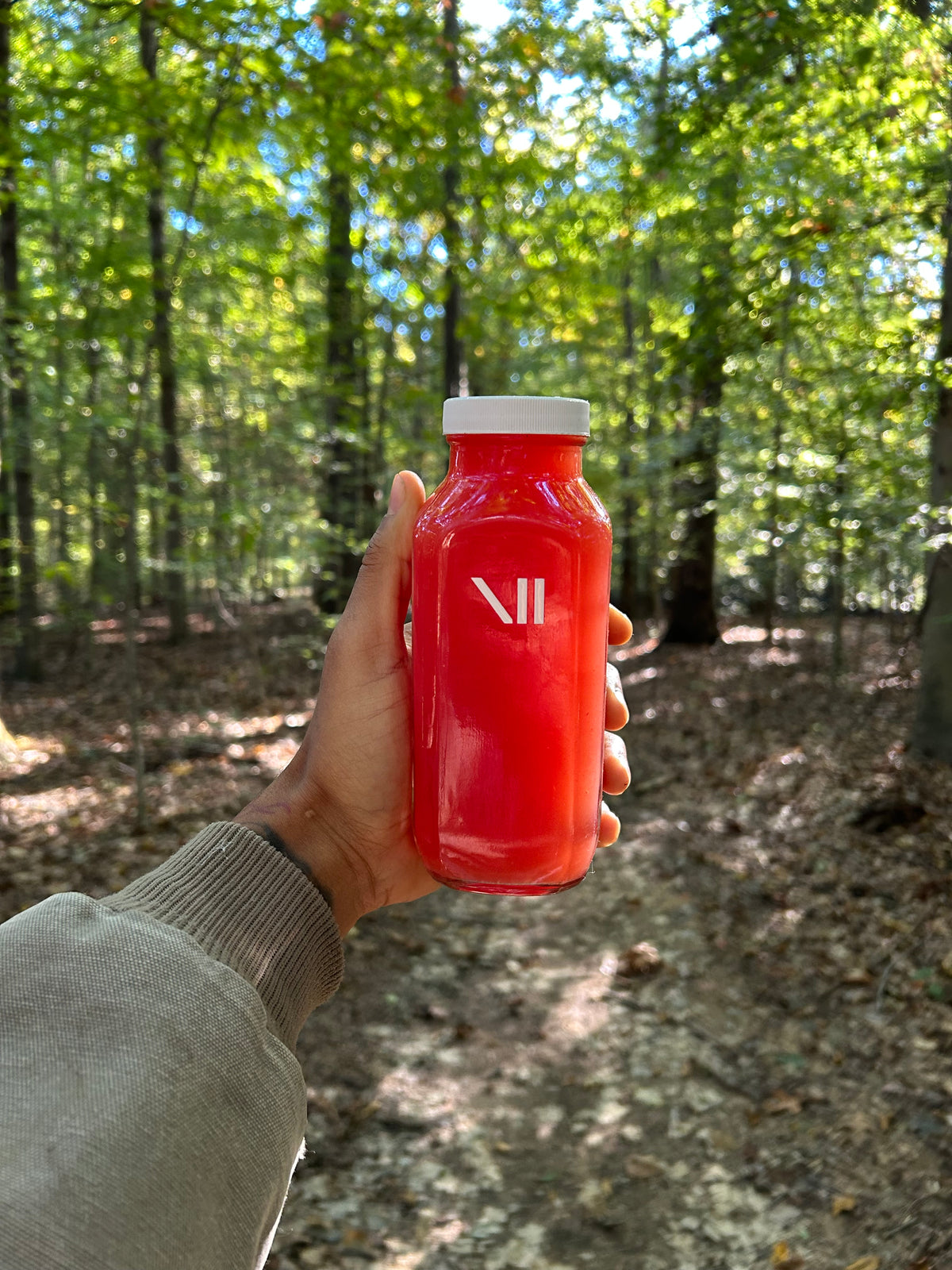 Organic Seeded Watermelon Juice | Single