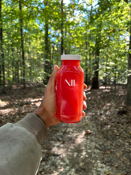 Organic Seeded Watermelon Juice | 5 pack